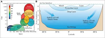 Deep blue artificial intelligence for knowledge discovery of the intermediate ocean